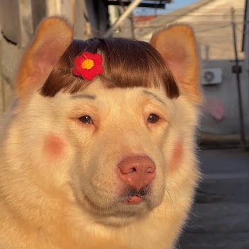 Profile photo of เขมมิสรา ศรีพรหม