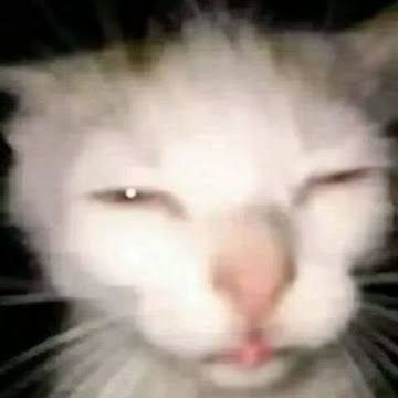 Profile photo of กุลรวี สายสุยา