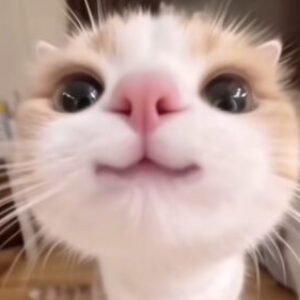 Profile photo of อัครวัฒน์ มันทรารักษ์