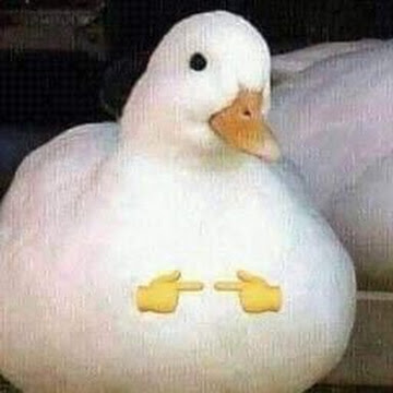 Profile photo of วริศรา เข้มขัน