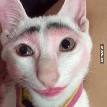 Profile photo of Panita Kruabwang