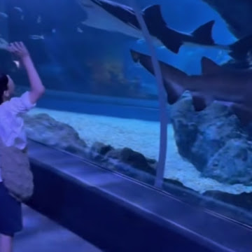 Profile photo of ธิติสุดา เวียงชัย