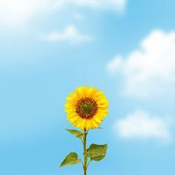 Profile photo of นายสุรศักดิ์ เวียนรอบ