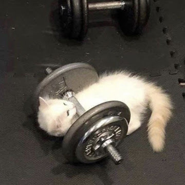 Profile photo of Krit'sa Kron