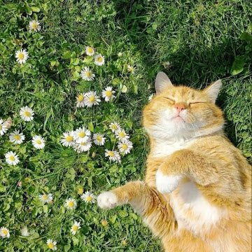 Profile photo of 1640367