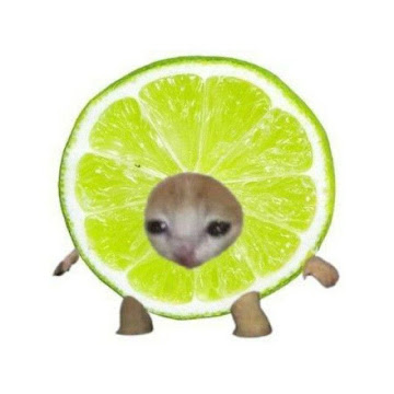 Profile photo of 28_510_