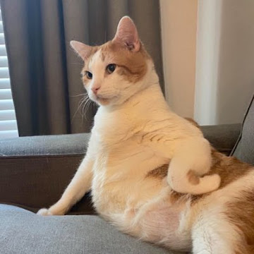 Profile photo of ชนัฐปภา จิตรีขันธ์