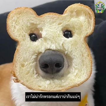 Profile photo of ทัศนันท์ ไชยสิทธิ์สร้อย