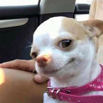 Profile photo of ธฤษวรรณ ปรีชา