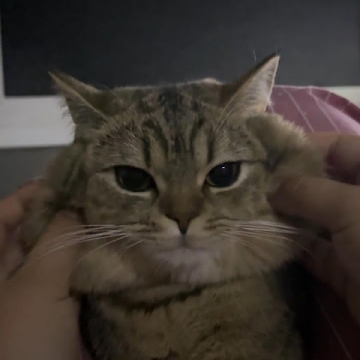 Profile photo of วันชัย คุขุนทด