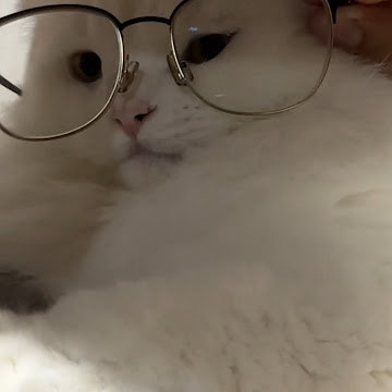 Profile photo of ชินภัทร โสพรม