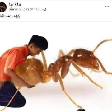 Profile photo of สหรัฐ กิจสงสาร