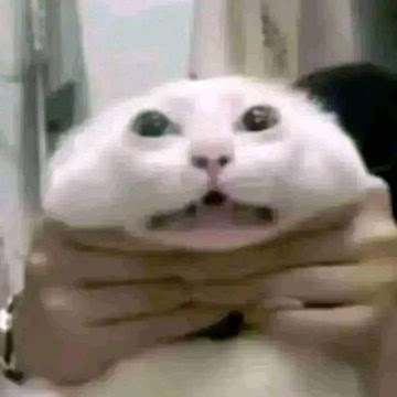 Profile photo of นายณรงค์ฤทธิ์ แสนทอง