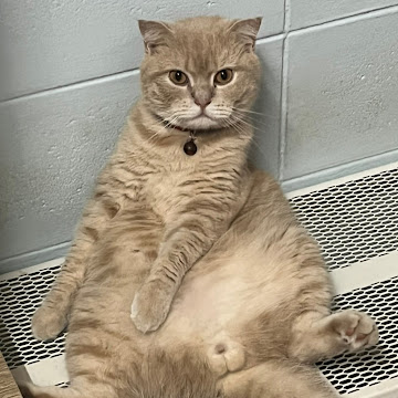 Profile photo of นางสาวพิมพ์ชนก ปาปัญญา