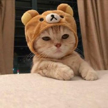 Profile photo of Ainthira Khotama