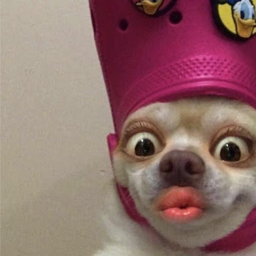 Profile photo of พันธิตา แก้วน้อย