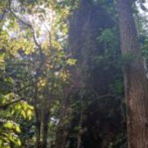 Profile photo of สรศักดิ์ สุดศรี