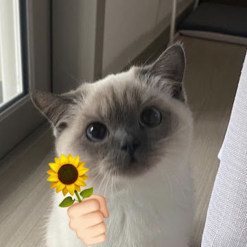 Profile photo of Aphinyaphat Phumphuang