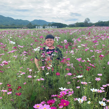 Profile photo of Sanhanat Toma