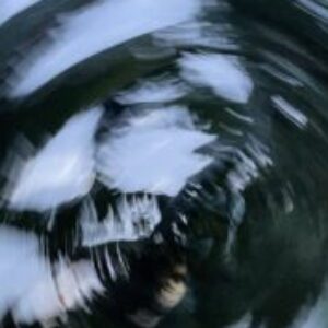 Profile photo of Nutyanee Tipkesorn