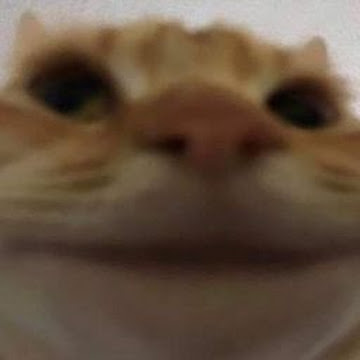 Profile photo of นายชัชพิมุข ติ้นเหมือน