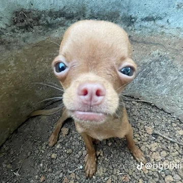 Profile photo of บัณฑิตา กาพันธ์ดุง