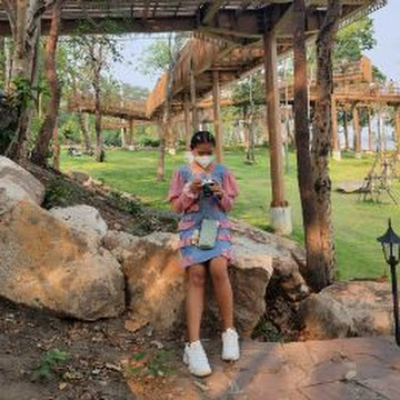 Profile photo of P . plai