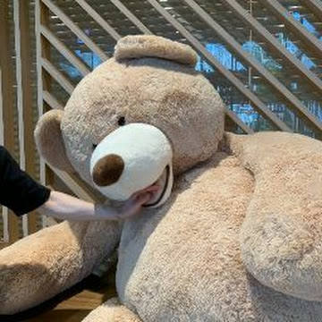 Profile photo of ศศิภา พิมพ์วิชัย