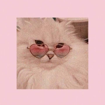 Profile photo of ปิ่นมุก หล้าหิบ