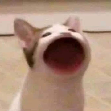 Profile photo of Putter โชตินนทเศรษฐ์