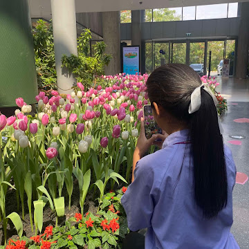 Profile photo of ศิริสุวรรณ บุญปัญญา