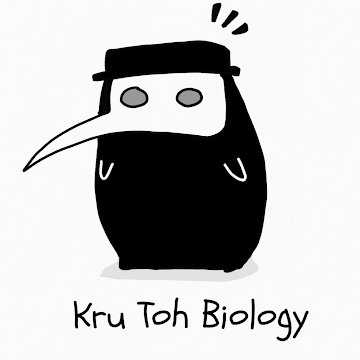 Profile photo of Kru Totoh Biology