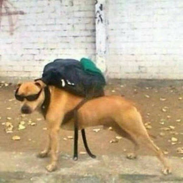 Profile photo of Rungtawan Duupng