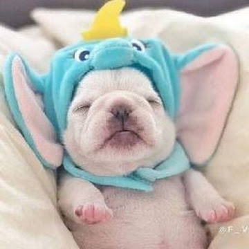 Profile photo of 05-06-03 ภูมิภากร กําเนิดมณี