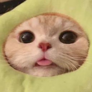 Profile photo of Kanoknuch Phaichan