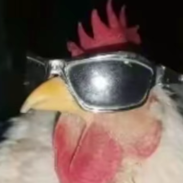 Profile photo of item ณัฐณิชา วรรโณทยาน