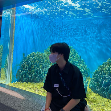 Profile photo of นางสาวสิริกันญาพร เรืองราย