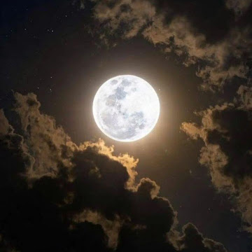 Profile photo of 05-06-30 พรปวีณ์ สาทรสัมฤทธิ์ผล