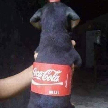 Profile photo of ณัฐกฤต เหมืองสอง