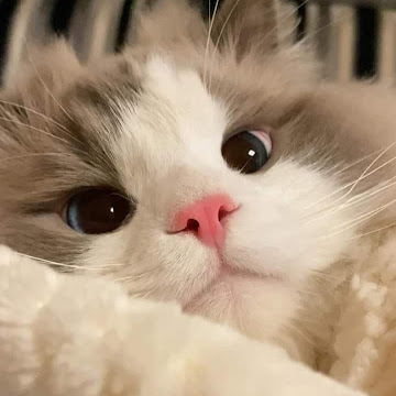 Profile photo of นางสาวนภัสรนันท์ พิพัฒน์วรากุล