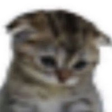 Profile photo of พัทธานันท์ ทองแก้ว