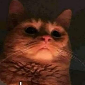 Profile photo of นายณัฏฐวัฒน์ ดวลโคกสูง