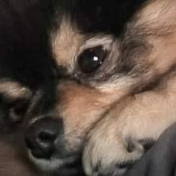 Profile photo of Thitikan Aukarason