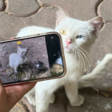 Profile photo of พรรวินทร์ พรพัฒนามงคล