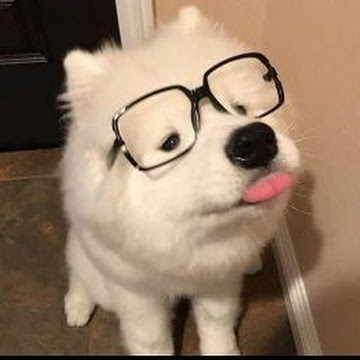 Profile photo of นิศานาถ สกุลสุข