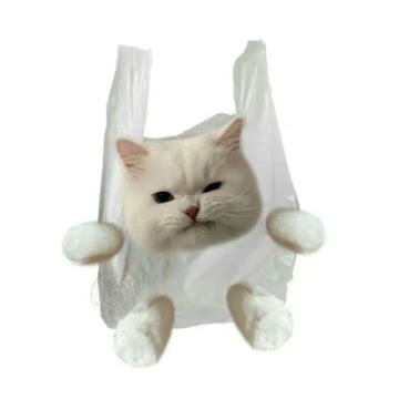 Profile photo of ณิน สรรเพชญ์ศิวะกุล