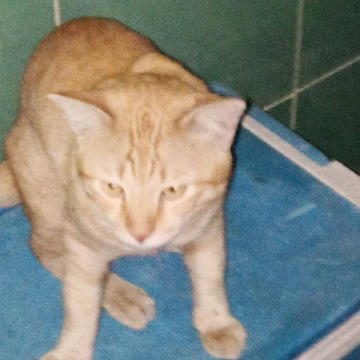 Profile photo of KnT 55