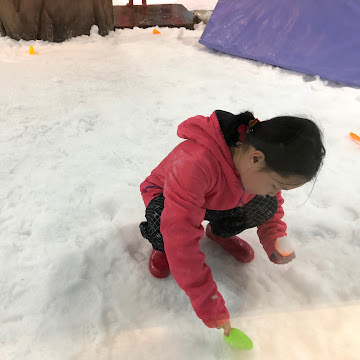 Profile photo of ศศิรัศมิ์ ชีวเศวตวงษ์