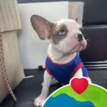 Profile photo of ณัฐพงศ์กรณ์ โควังขัย