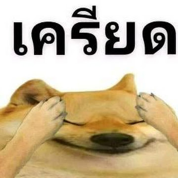 Profile photo of Phakkawat Nonnoi